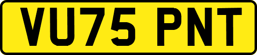 VU75PNT