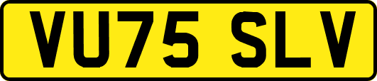 VU75SLV