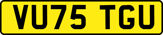 VU75TGU