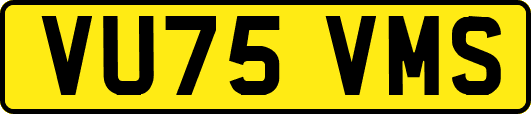 VU75VMS