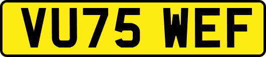 VU75WEF