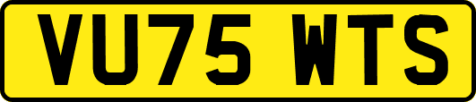 VU75WTS