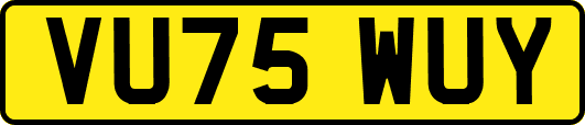 VU75WUY