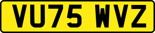VU75WVZ