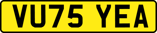 VU75YEA
