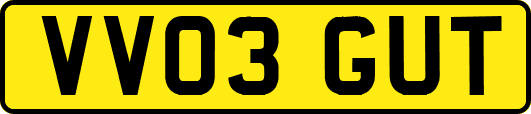 VV03GUT