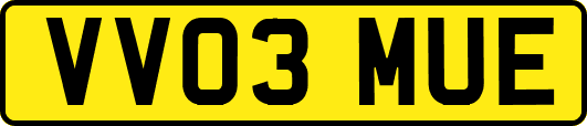 VV03MUE