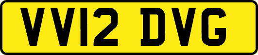 VV12DVG