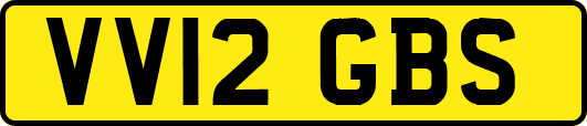 VV12GBS