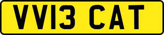 VV13CAT