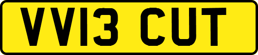 VV13CUT