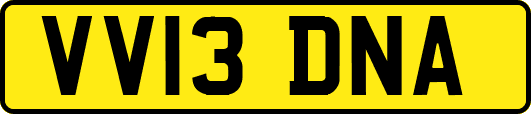 VV13DNA