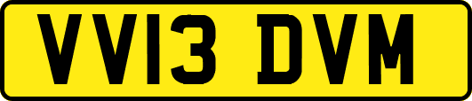 VV13DVM