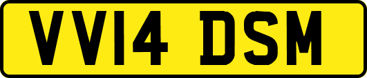 VV14DSM