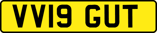 VV19GUT