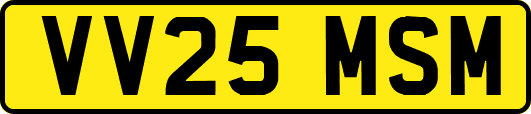 VV25MSM