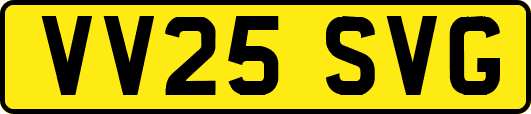 VV25SVG