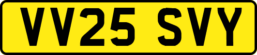 VV25SVY