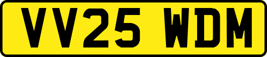 VV25WDM