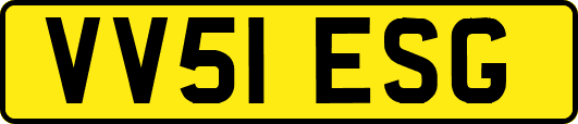 VV51ESG