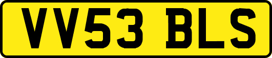 VV53BLS