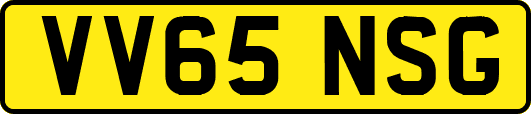 VV65NSG