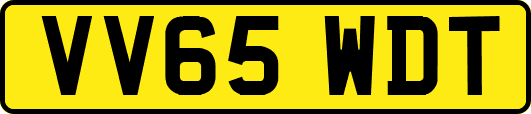 VV65WDT