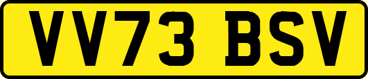 VV73BSV