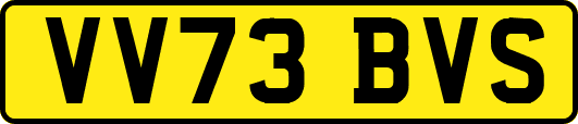 VV73BVS