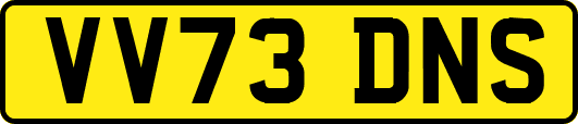 VV73DNS