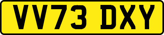 VV73DXY
