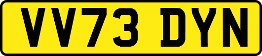 VV73DYN