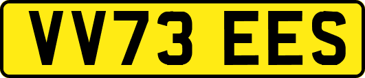 VV73EES