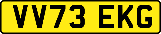 VV73EKG