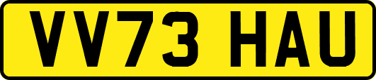 VV73HAU