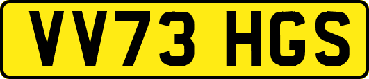 VV73HGS
