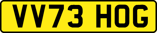 VV73HOG