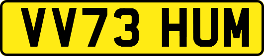 VV73HUM