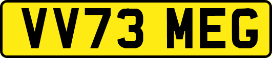 VV73MEG