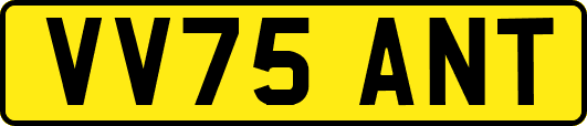 VV75ANT