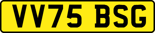 VV75BSG