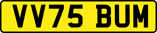 VV75BUM