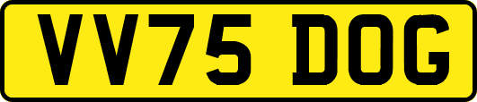 VV75DOG