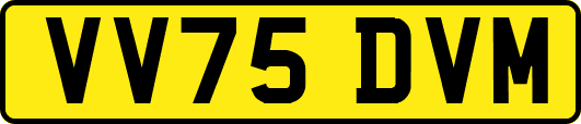 VV75DVM