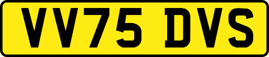 VV75DVS