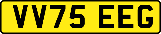 VV75EEG