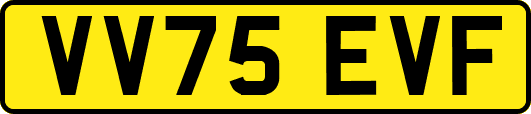 VV75EVF