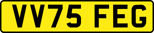 VV75FEG