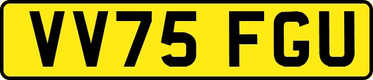 VV75FGU
