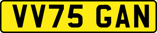 VV75GAN